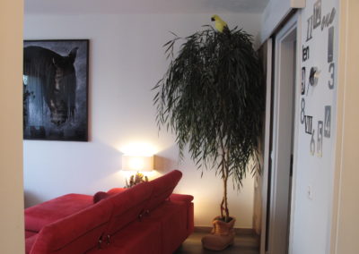 Aménagement intérieur